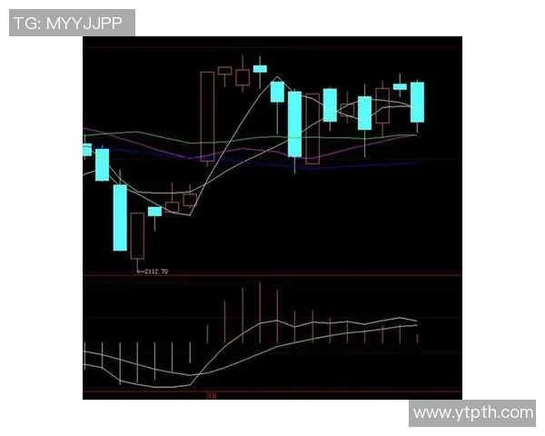 广州羽毛球队防守策略解析与战术创新探讨