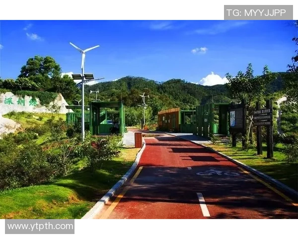 深圳极限运动队如何引领节奏革新与城市活力的完美结合